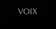 voix talent